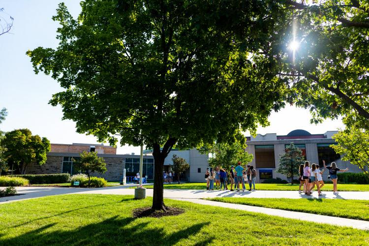 Summer sunshine on the quad